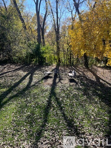 A pathway in a park with trees on either side.