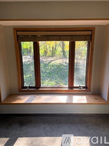 A window with a view of trees and a fence outside.