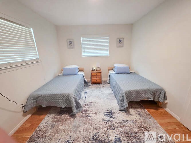 A bedroom with two beds and a rug in the middle.