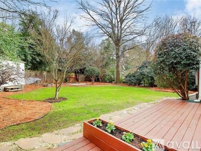 A backyard with a wooden deck and a small tree.