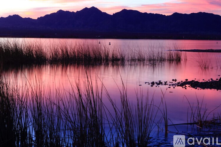 A serene lake with reeds in the foreground and mountains in the distance during sunset.