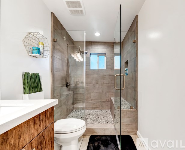 A modern bathroom with a walk-in shower and a toilet.