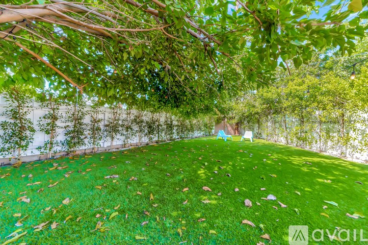 A backyard with a lawn and trees.