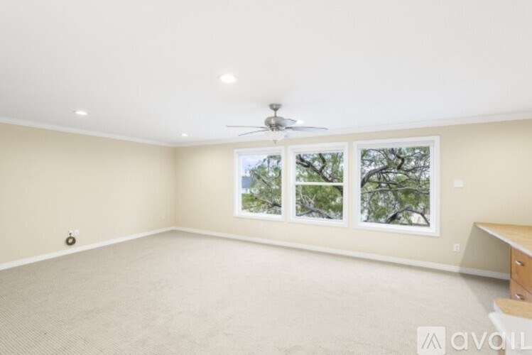 A room with a ceiling fan and a window showing trees outside.