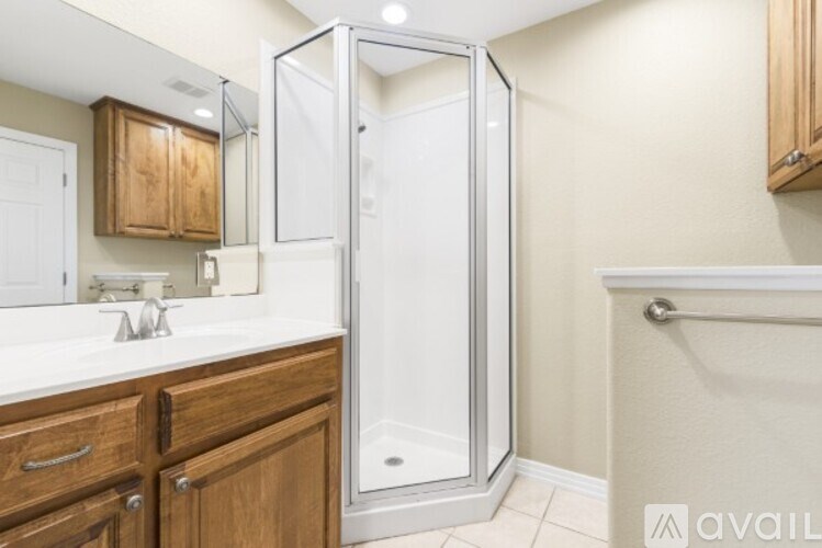 A bathroom with a walk-in shower and a sink.