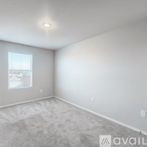 A room with a carpeted floor and a window with blinds.