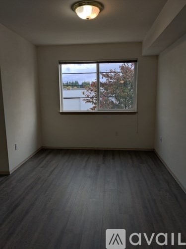 A room with a large window and wooden flooring.