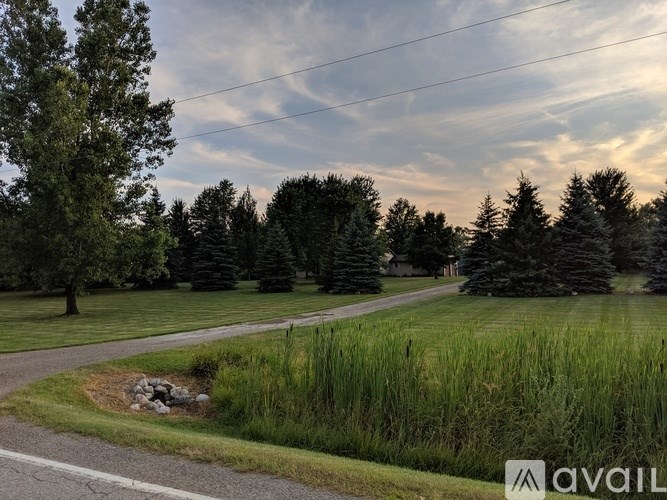 A grassy area with trees and a road in the background.