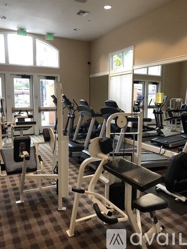 A gym with a row of exercise machines.