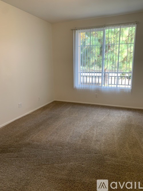 A room with a carpeted floor and a window with blinds.