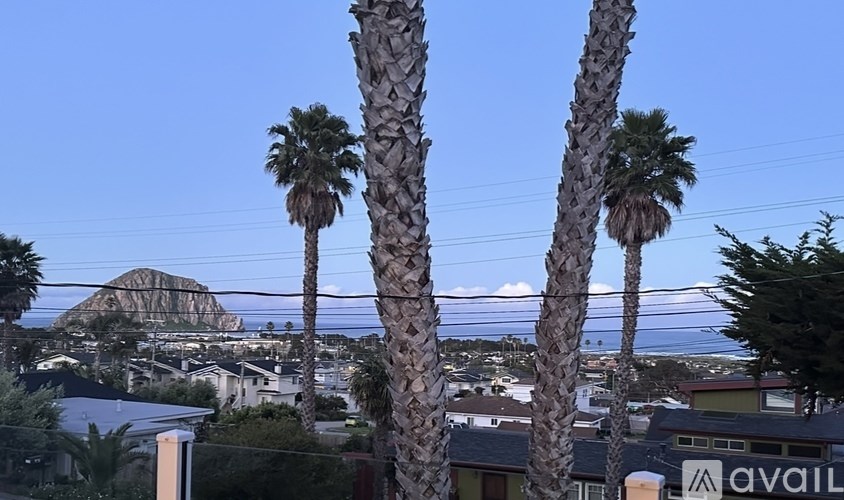 Palm trees in front of a mountain and houses.