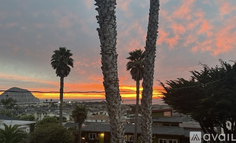 Two palm trees in front of a sunset with buildings in the background.