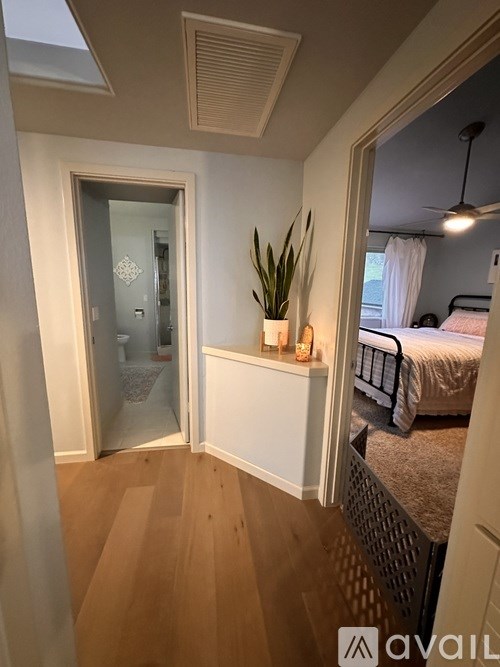 A bedroom with a bed, a plant, and a mirror.