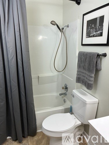 A bathroom with a toilet, a shower with a curtain, and a picture on the wall.