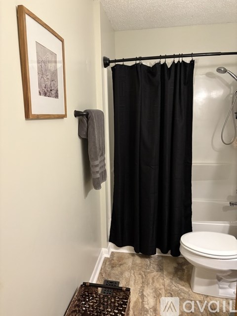 A bathroom with a toilet, a shower curtain, a towel, and a picture on the wall.