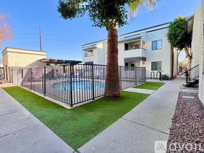 A pool surrounded by a black fence and a palm tree.
