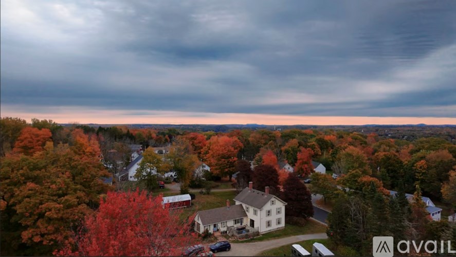 A house is surrounded by trees with autumn leaves.