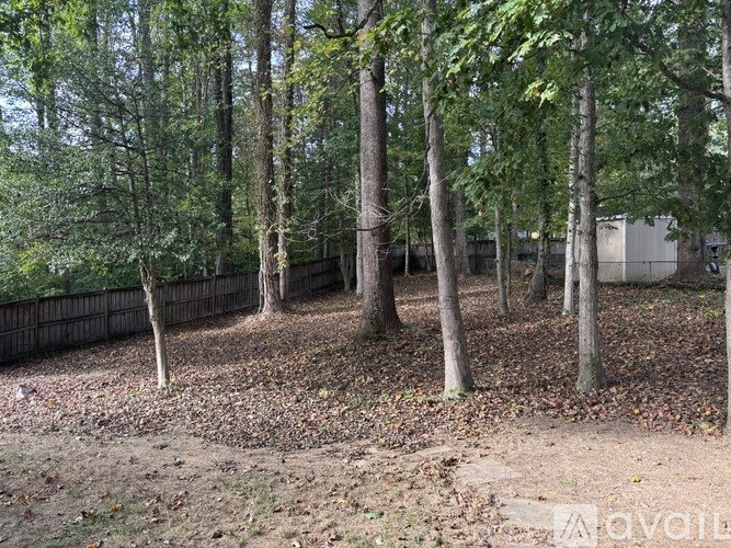 A wooded area with trees and a fence.
