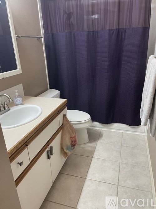 A bathroom with a toilet, sink, and shower curtain.