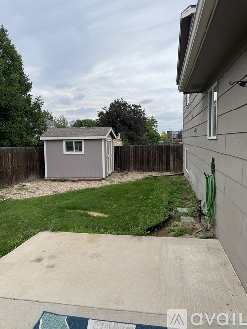 A backyard with a shed and a wooden fence.