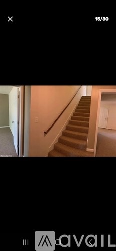 A staircase with a beige carpet and wooden steps.