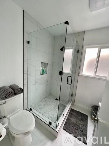 A white toilet sits next to a walk-in shower with a glass door.