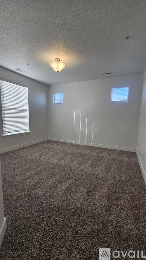 A room with carpeted floor and two windows.