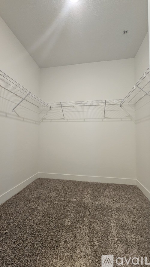 A walk-in closet with a carpeted floor and metal racks.