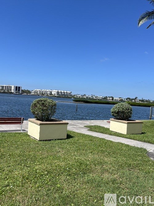 Two green bushes in planters on a grassy area by a body of water.