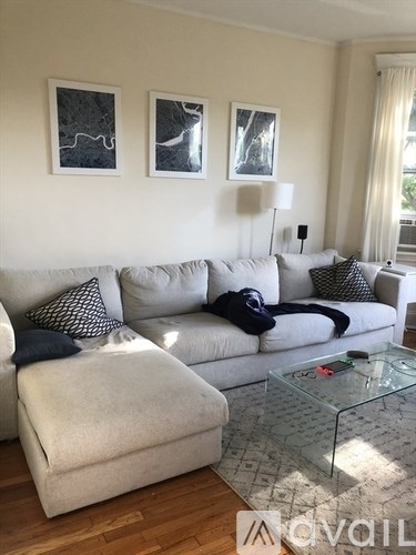A living room with a grey couch and two framed pictures on the wall.