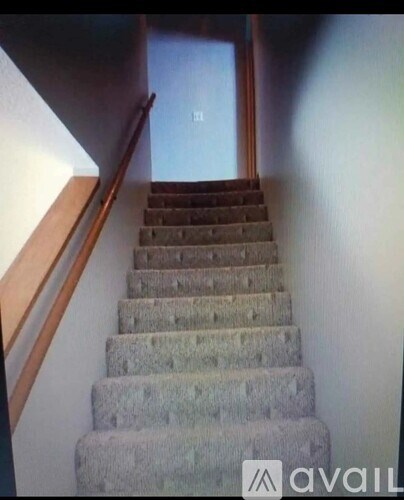 A staircase with a carpeted runner and wooden handrails.