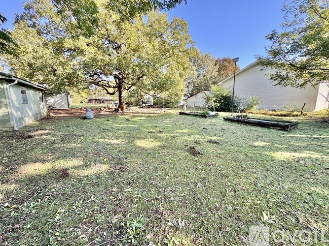 A backyard with a shed and a tree.