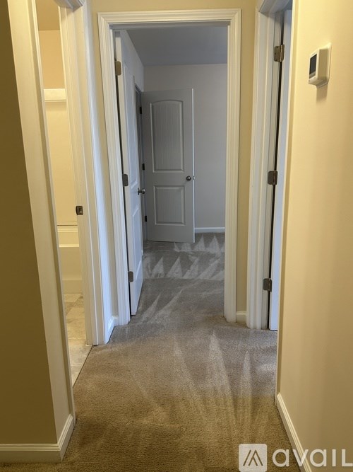 A hallway with a carpeted floor and a closed door at the end.