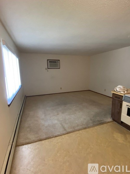 A room with a window and a heater on the wall.