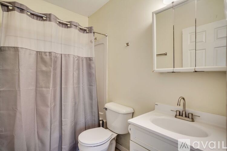A bathroom with a toilet, sink, and shower curtain.