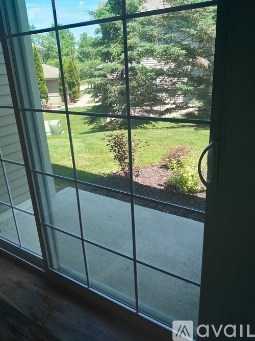 A view of a backyard through a window with a grid of glass panes.