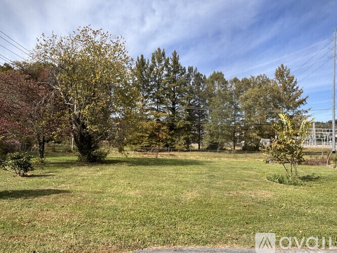 A grassy field with trees and a clear sky.