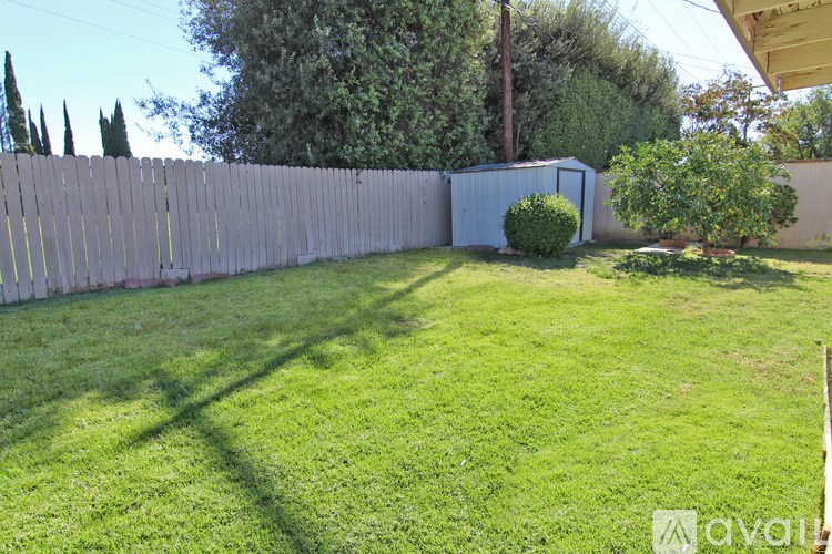 A backyard with a wooden fence and a green lawn.