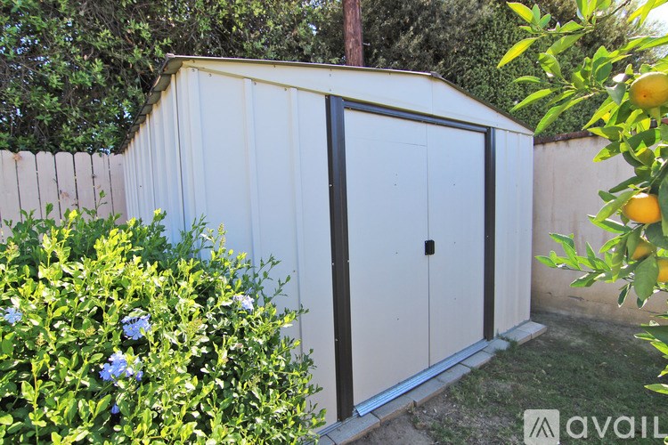 A white shed with a black door is surrounded by greenery.