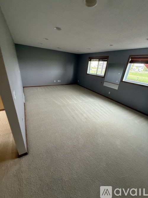 A large empty room with carpeted floor and two windows.