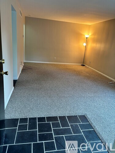 A room with a carpet and a lamp on the floor.