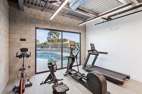 A gym with a treadmill, exercise bike and rowing machine.