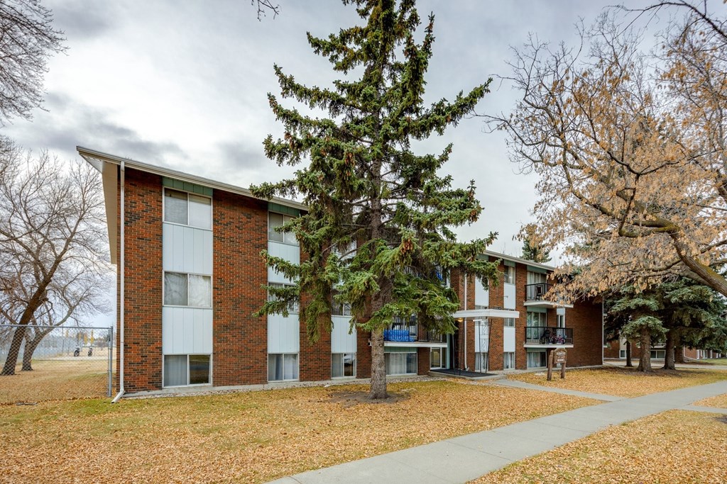 A tree stands in front of a red brick building.