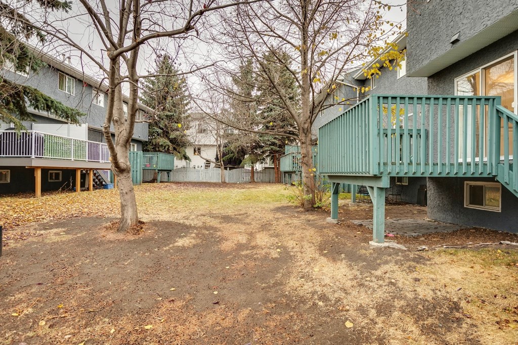 A tree in a yard with a building in the background.