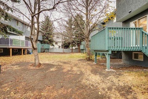 A tree in a yard with a building in the background.
