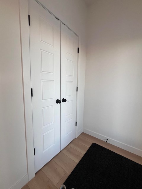 A white door with a black handle is in a room with a black rug on the floor.