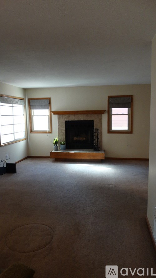 A living room with a fireplace and two windows.