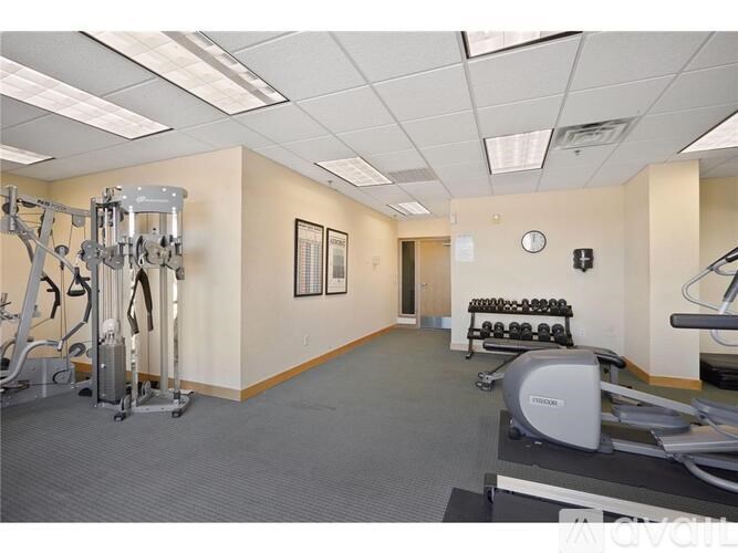 A gym with a treadmill, weights, and exercise equipment.