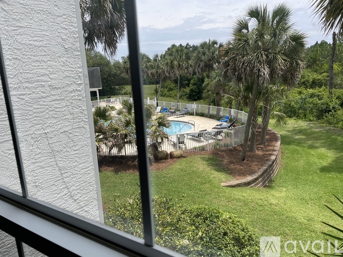 A view from a window looking out at a pool and palm trees.