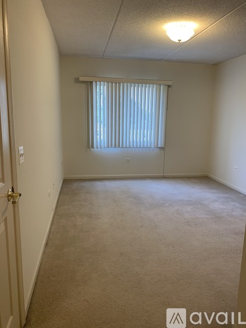 A carpeted room with a door and a window with blinds.